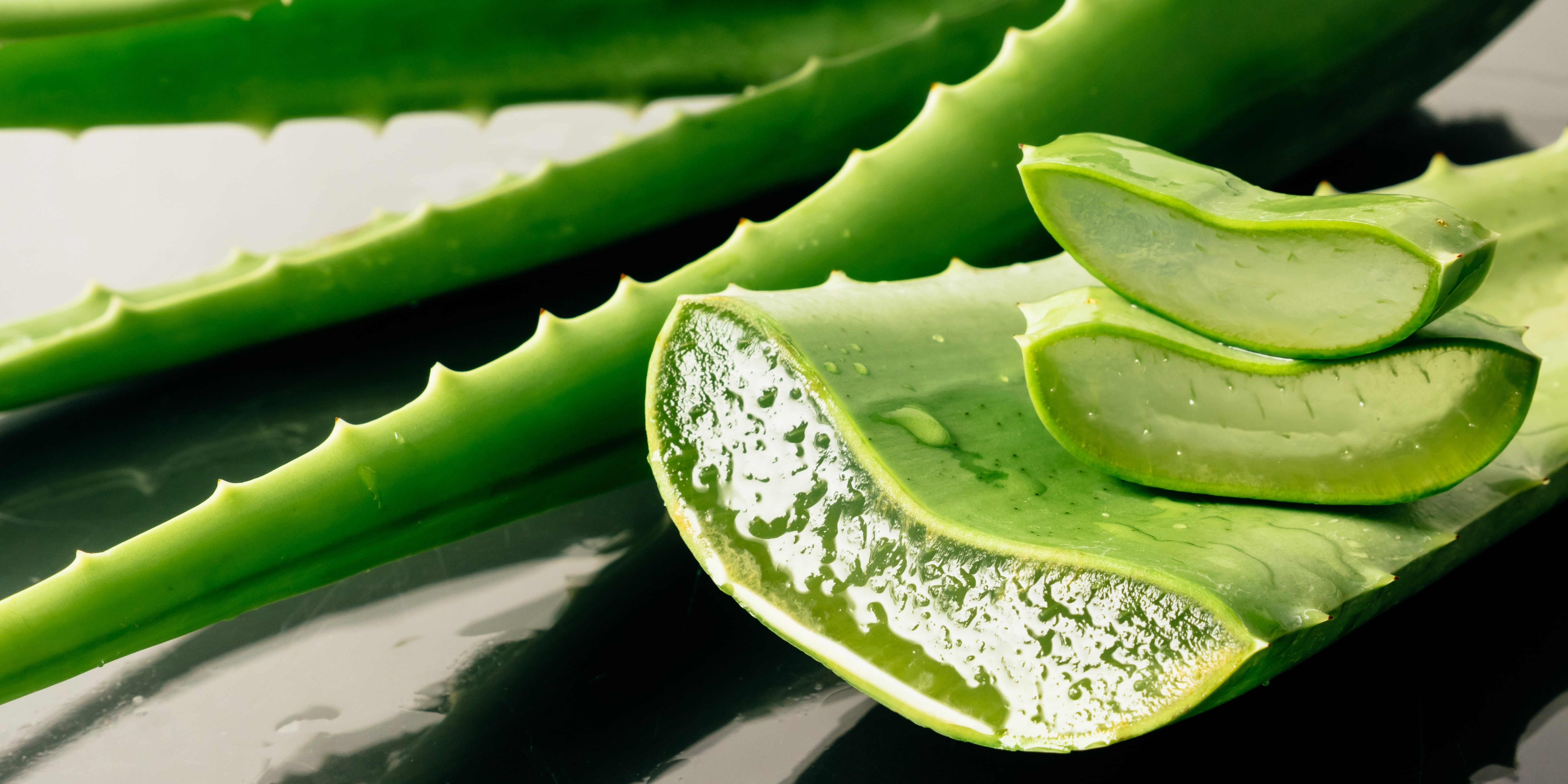 Aloe Vera 200X
