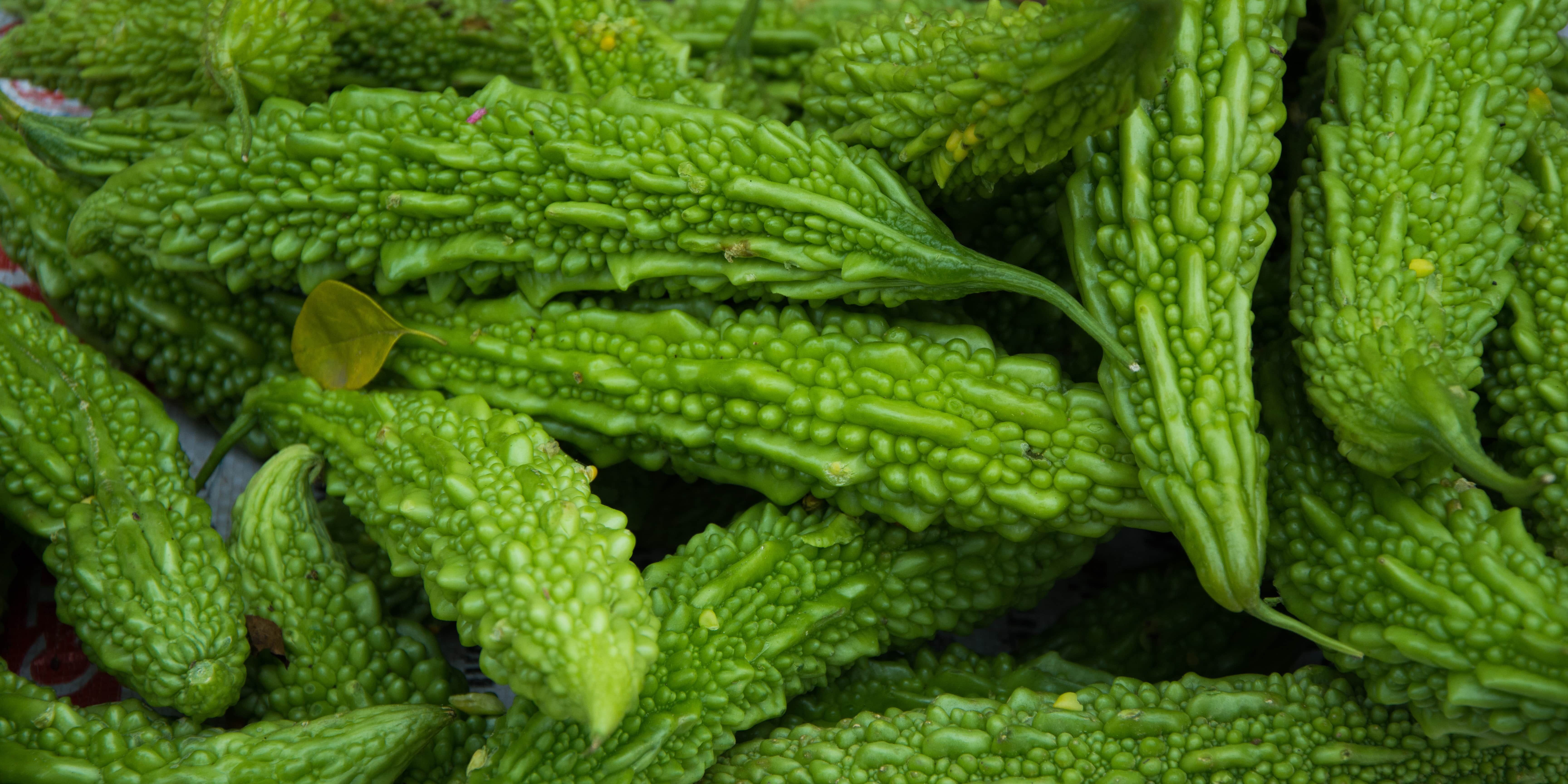 Bitter Melon Extract