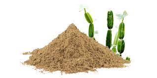 Cissus Extract