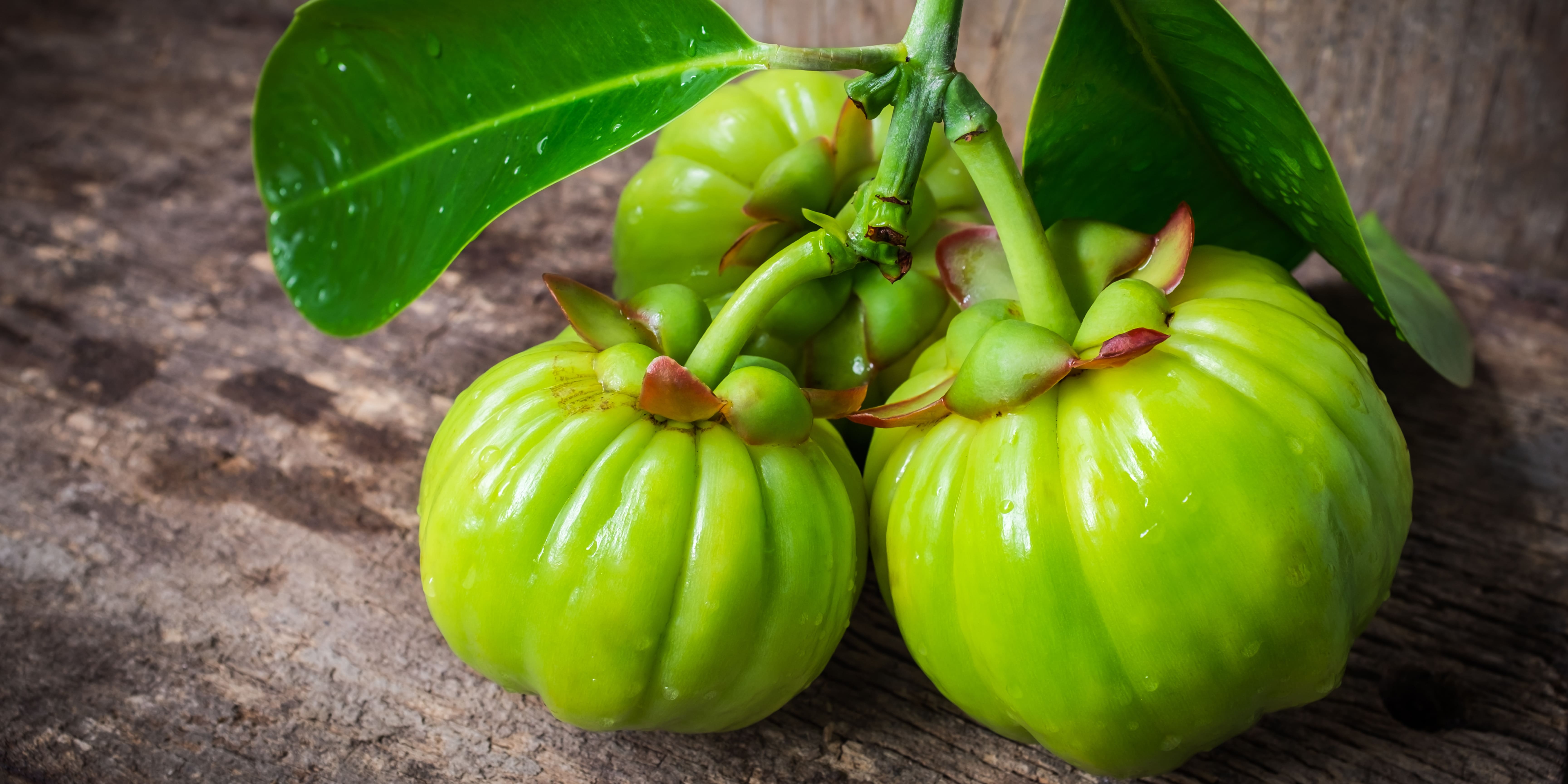 Garcinia Extract