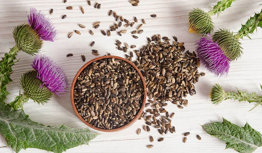 Milk Thistle Extract