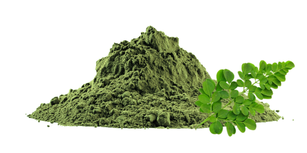 Moringa Extract