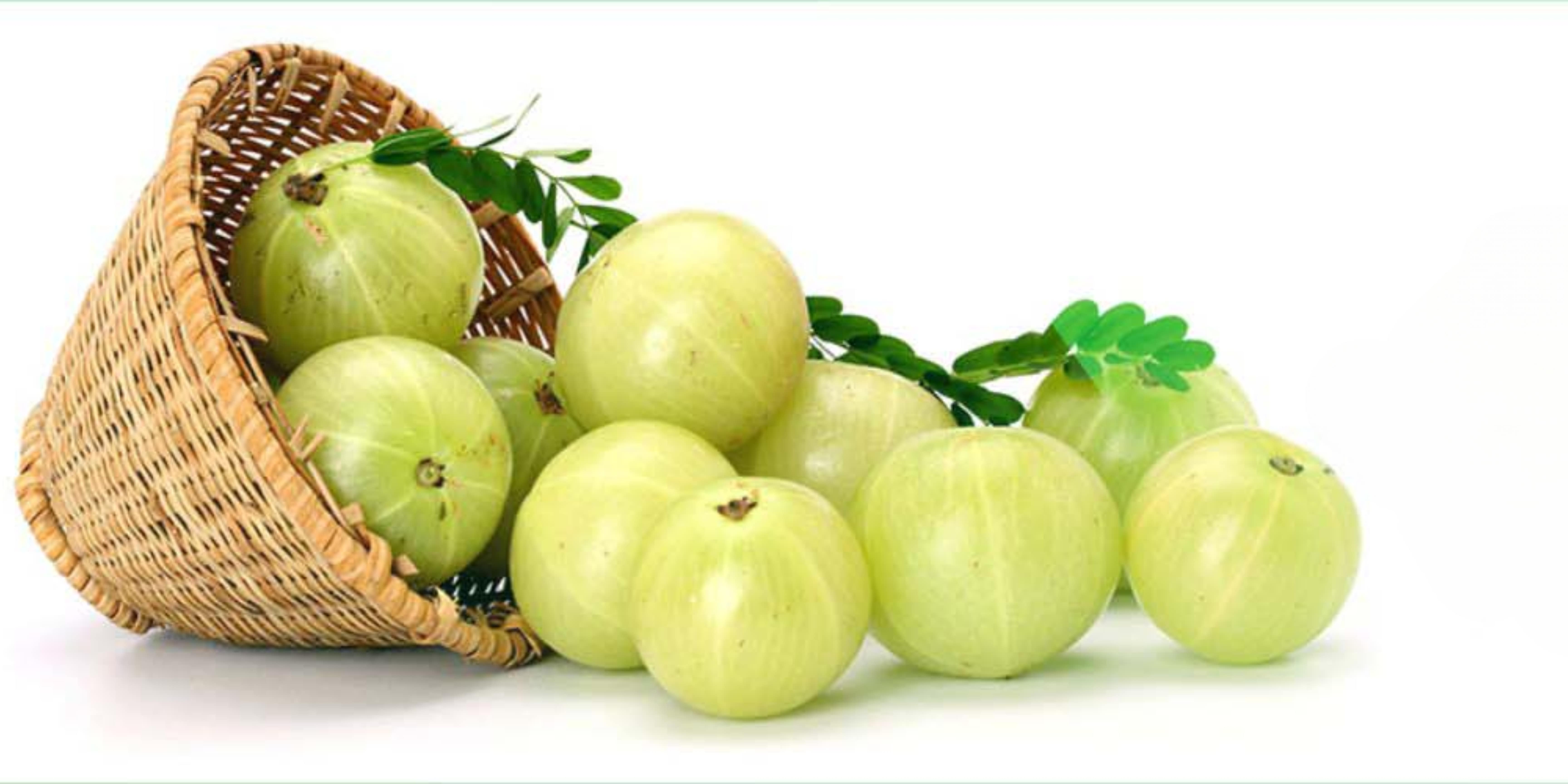 Organic Amla Extract