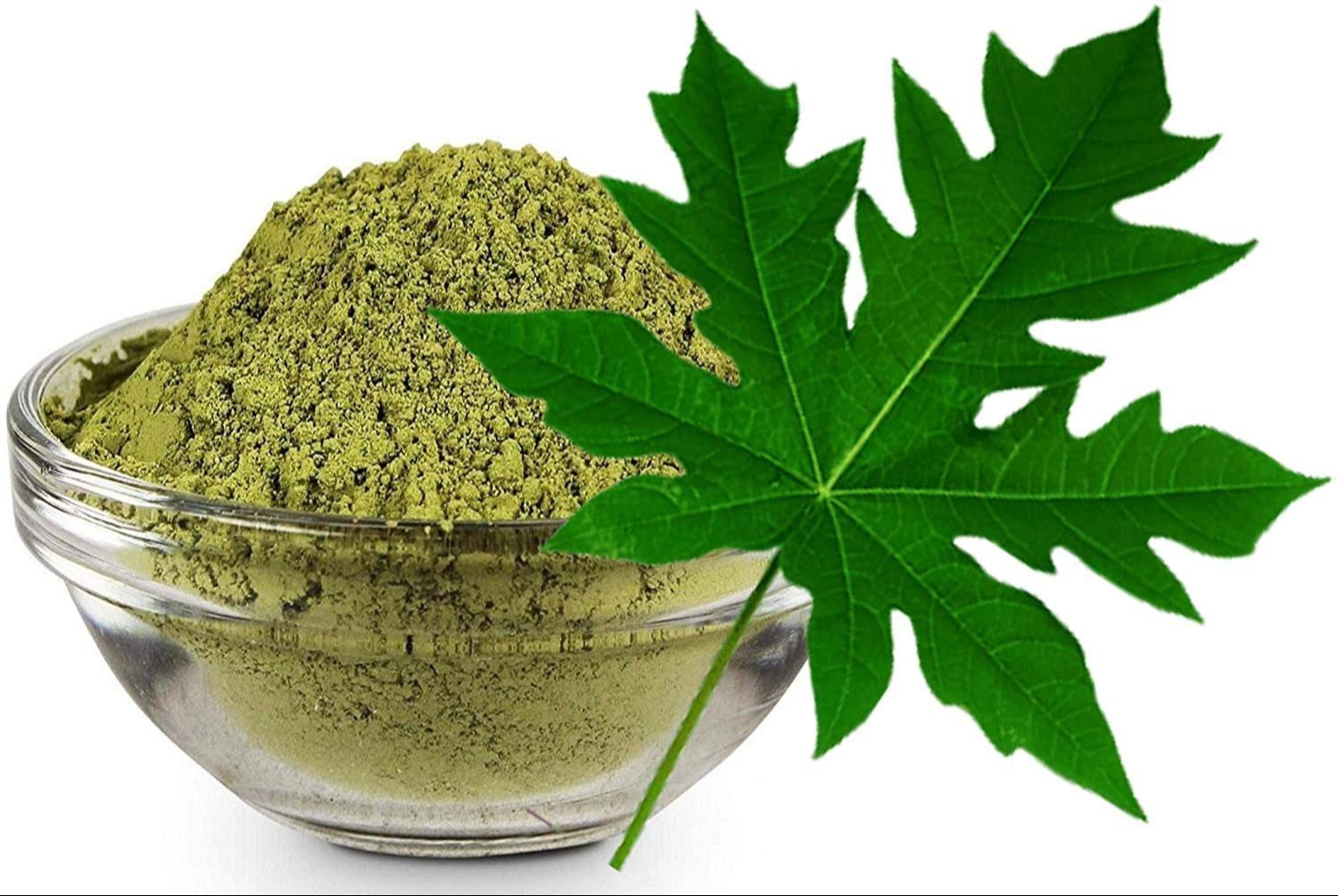 Papaya Leaf Extract