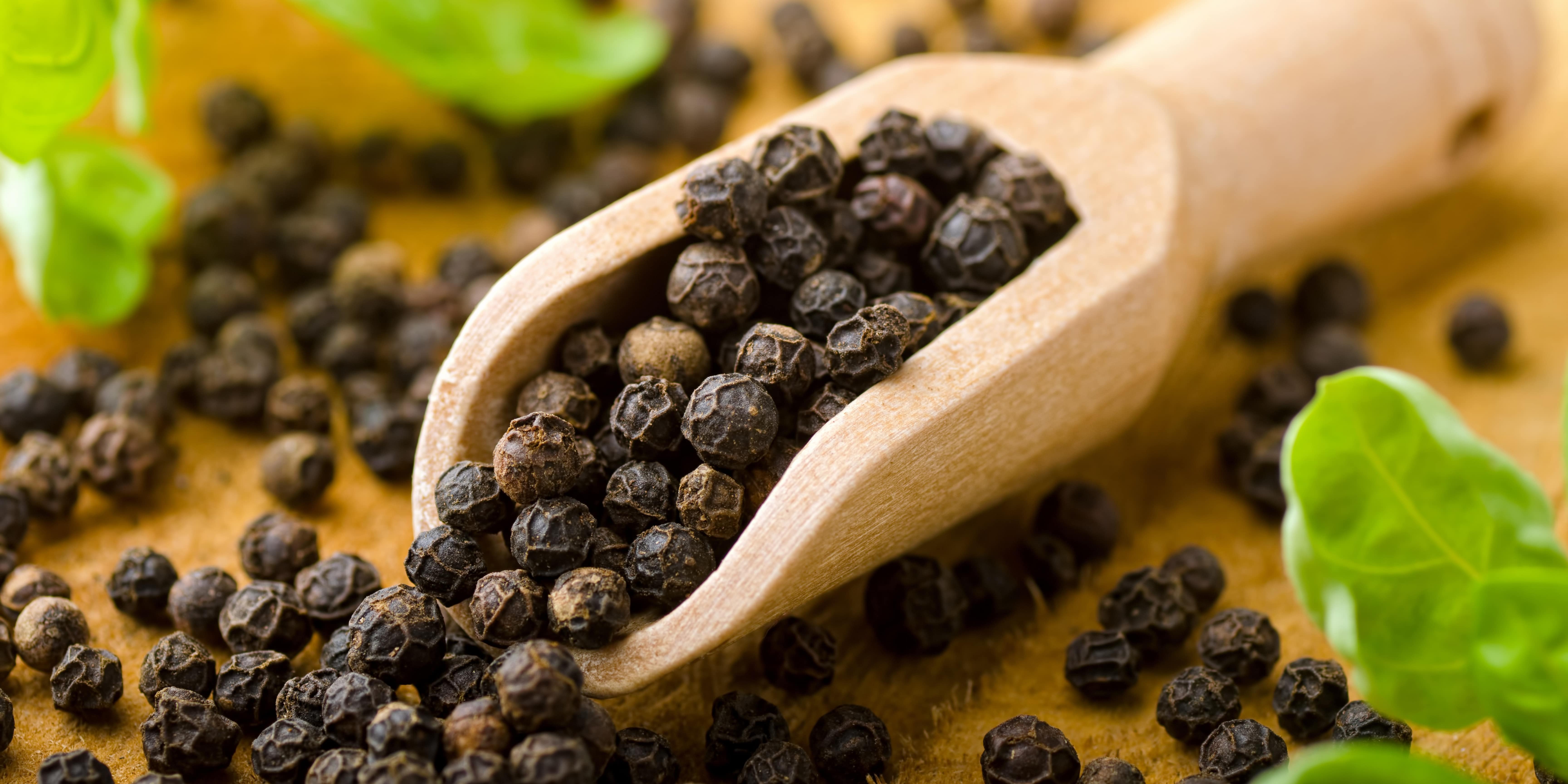Piperine Extract