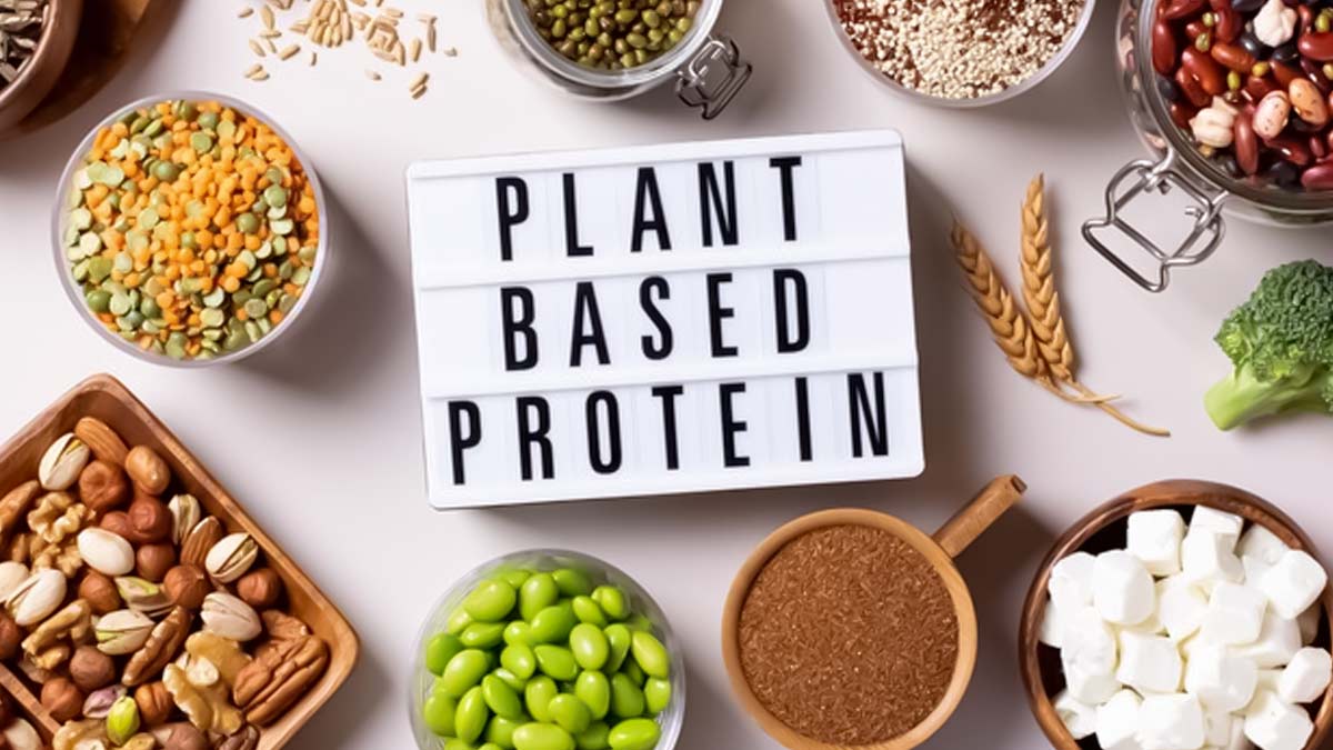 Plant Based Protein