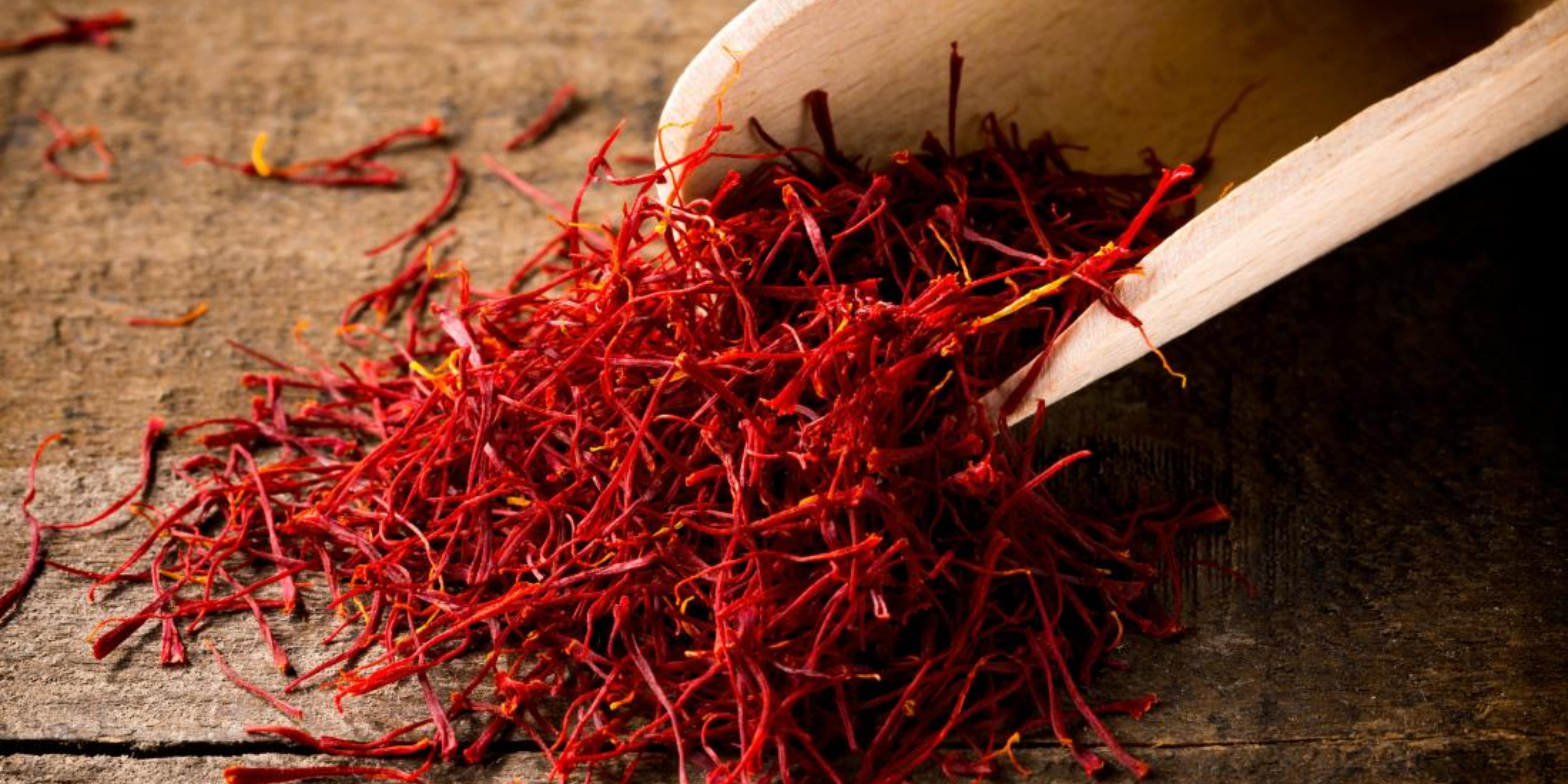 Saffron Extract