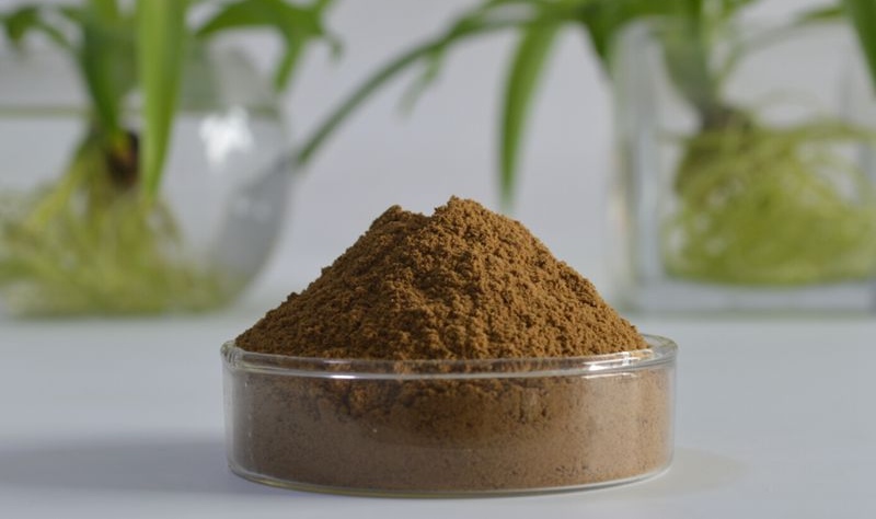 Tribulus Extract
