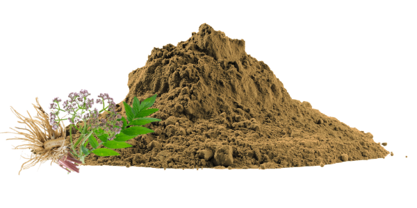 Valerian Extract
