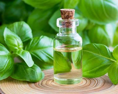 Nutmeg Oil Nutmeg Oil