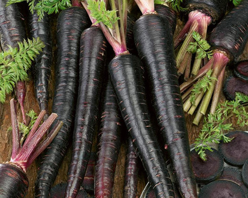 Black carrot Black carrot